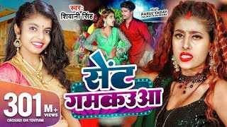 Pauwa Me Payal Jhamkaua Raja Ji Ringtone